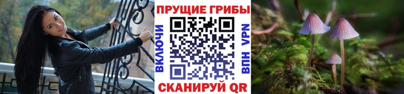 Галлюциногенные грибы мицелий  где купить наркотик  Валдай 